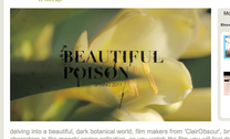 moochi 'beautiful poison' short film