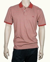 Foreshaw Polo