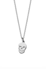 Skull Charm Necklace, silver