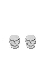 Skull Stud Earrings, silver