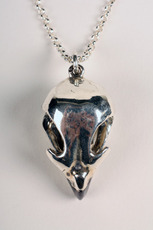 hawk skull pendant