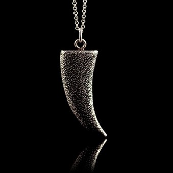 Dragon Tooth Necklace