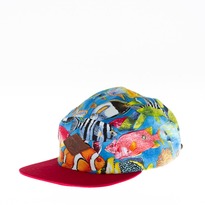 Def - Nemo 5 Panel - Multi