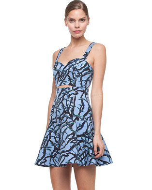 Night Flute Print Dress