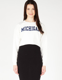 Michigan-printed-cropped-jumper20130809-4181-1q4swdr-0