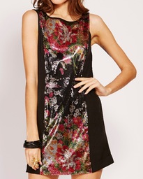 ladakh forest falls shift dress