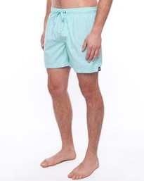 Af974sk41rqs-baywatch-shorts-freshly-cut20131106-18001-6iuciy-0