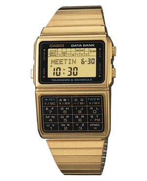 casio databank (gold)