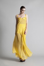 Radiance Long Dress