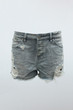 Z-Boys Shorts