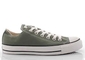 Chuck Taylor All Star Ox - Sea Spray - Green